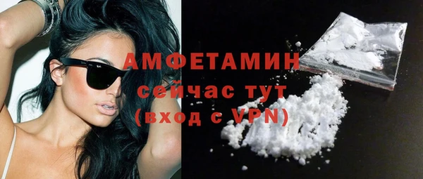 метадон Алексин