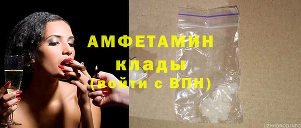 метадон Алексин
