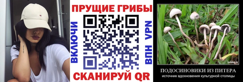 Псилоцибиновые грибы MAGIC MUSHROOMS  Хотьково 